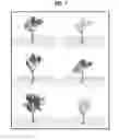 Fig. 06 - Tree model and forest model generating method and apparatus
