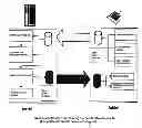Fig. 01 - HAIR COLOURING DEVICE AND METHOD