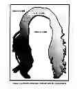 Fig. 02 - HAIR COLOURING DEVICE AND METHOD