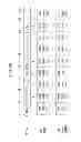 Fig. 12 - Display device and control method thereof