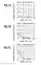Fig. 08 - Ink jet printing apparatus and method for estimating moisture content of print sheet