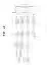 Fig. 22 - DIGITAL BROADCAST RECEIVING METHOD FOR DISPLAYING THREE-DIMENSIONAL IMAGE, AND RECEIVING DEVICE THEREOF