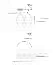 Fig. 06 - IMAGE PROCESSING DEVICE, IMAGE PROCESSING METHOD, STEREOSCOPIC IMAGE DISPLAY DEVICE, AND ASSISTANT SYSTEM