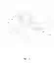 Fig. 02 - Human-Perspective Stereoscopic Camera