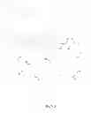 Fig. 16 - Human-Perspective Stereoscopic Camera