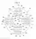 Fig. 08 - Spectral Image Acquiring Device And Spectral Image Acquiring Method