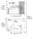 Fig. 07 - METHOD AND APPARATUS FOR GENERATING A NOISE PROFILE OF NOISE IN AN IMAGE SEQUENCE