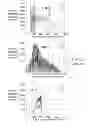 Fig. 11 - METHOD AND APPARATUS FOR GENERATING A NOISE PROFILE OF NOISE IN AN IMAGE SEQUENCE