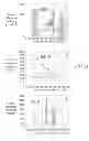 Fig. 12 - METHOD AND APPARATUS FOR GENERATING A NOISE PROFILE OF NOISE IN AN IMAGE SEQUENCE
