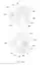 Fig. 03 - Pixel structure