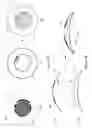 Fig. 03 - Apparatus for programming an energizable ophthalmic lens with a programmable media insert