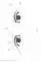 Fig. 09 - Virtual glasses try-on method and apparatus thereof