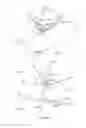 Fig. 05 - SYSTEM FOR AN OBSERVATION OF AN EYE AND ITS SURROUNDING AREA