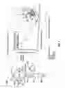 Fig. 06 - Apparatus and system for simultaneously measuring particle concentration and biocontaminants in an aerosol particle flow