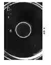 Fig. 05 - Article edge inspection