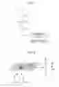 Fig. 02 - Method and device for processing data