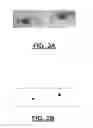 Fig. 03 - Systems and Methods for Red-Eye Correction