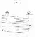 Fig. 17 - Image forming apparatus and image forming system for secure transmission of image data