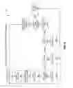 Fig. 08 - Systems and methods for automated control of electrochromic glass