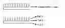Fig. 01 - Scattering screen system, method of manufacture and application thereof