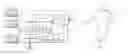 Fig. 01 - APPARATUS AND SYSTEM FOR AUGMENTED DETAINEE RESTRAINT