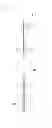Fig. 12 - ELECTRONIC DEVICE