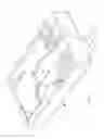 Fig. 14 - Harness assembly