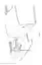 Fig. 16 - Harness assembly