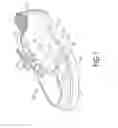 Fig. 02 - LIGHT EMITTING SHOE