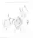 Fig. 06 - LIGHT EMITTING SHOE
