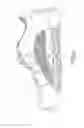 Fig. 07 - LIGHT EMITTING SHOE