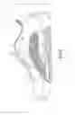 Fig. 09 - LIGHT EMITTING SHOE