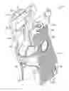 Fig. 01 - Illumination device and method