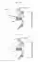 Fig. 13 - Light source unit and vehicle front lamp using the light source unit
