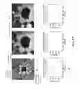 Fig. 52 - Computation devices and artificial neurons based on nanoelectromechanical systems