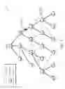 Fig. 06 - Source routing convergence in constrained computer networks