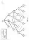 Fig. 07 - Source routing convergence in constrained computer networks