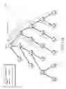 Fig. 15 - Source routing convergence in constrained computer networks