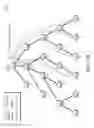 Fig. 16 - Source routing convergence in constrained computer networks