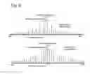 Fig. 10 - Matrix for use with a radio transceiver and methods thereto