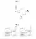 Fig. 02 - Definition of new identifier in wireless access system that supports device to device communication, and transmission method and device using same