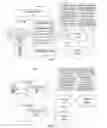 Fig. 02 - Initializing network advertisements from probe requests