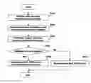 Fig. 01 - Mobile communication system and method for processing handover procedure thereof