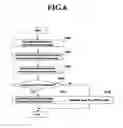 Fig. 06 - Mobile communication system and method for processing handover procedure thereof