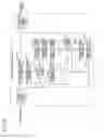 Fig. 07 - Methods, apparatuses, and programs for encoding and decoding picture