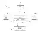 Fig. 01 - Data Encoding for Attenuating Image Encoders