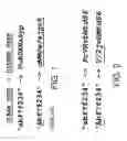 Fig. 02 - Partial CipherText updates using variable-length segments delineated by pattern matching and encrypted by fixed-length blocks
