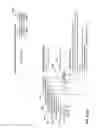 Fig. 22 - ENERGY PRESERVATION FOR DECOMPOSED REPRESENTATIONS OF A SOUND FIELD