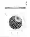 Fig. 85 - Transformed higher order ambisonics audio data