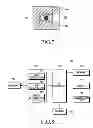 Fig. 08 - Method and apparatus for protecting eyesight